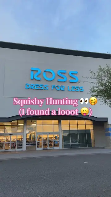 They were so stocked tonight!!! 👀🤭 #squishytoy #squishyhunting #squishy #ross 
