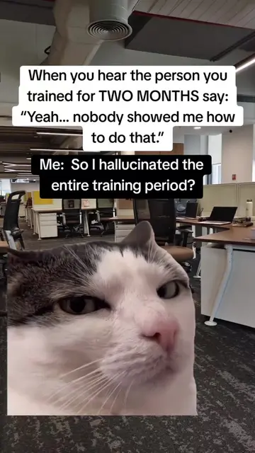 Nothing humbles you like watching someone rewrite the training history while you
