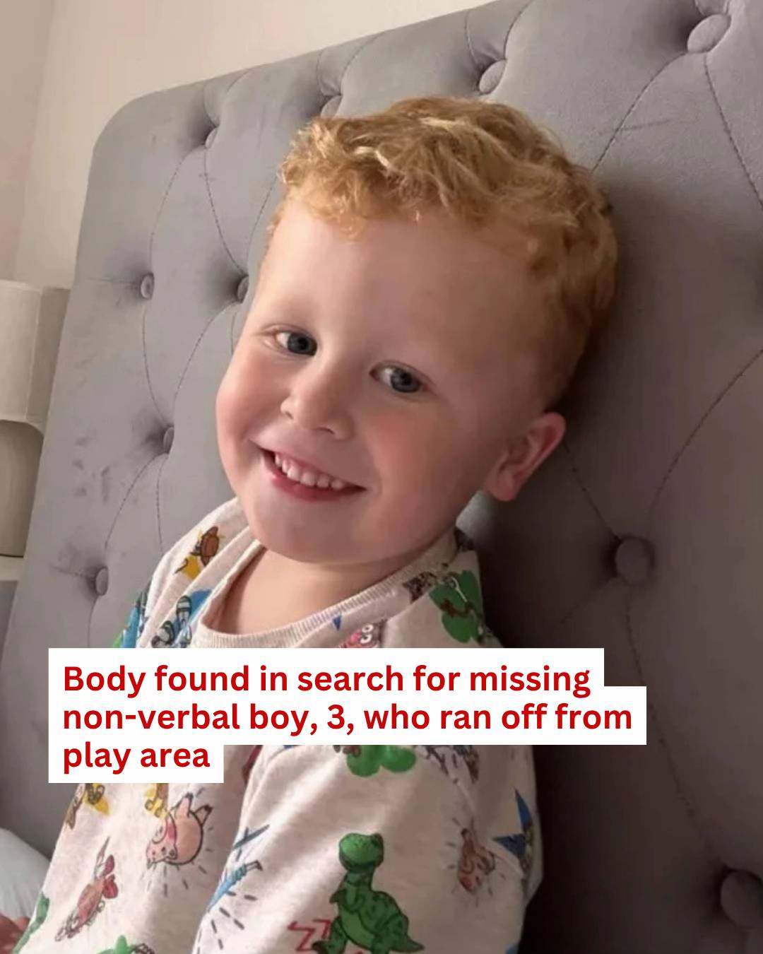 A body has tragically been discovered amid the frantic hunt for a missing non-ve