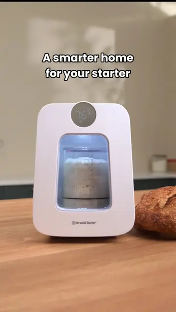 New apartment for your starter: window, WiFi, custom climate. The Sourdough Home