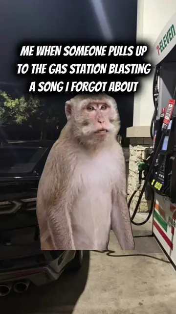 #Meme #MemeCut #CapCut #fyp #fypシ 