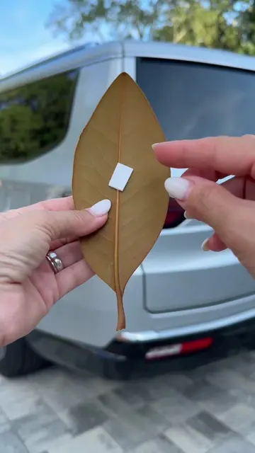 Teaching you some important car features that 99% of the drivers doesn't 🫣 #car