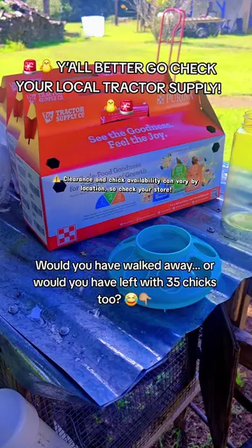 My local Tractor Supply had A TON of chicken items on clearance… and BABY CHICKS