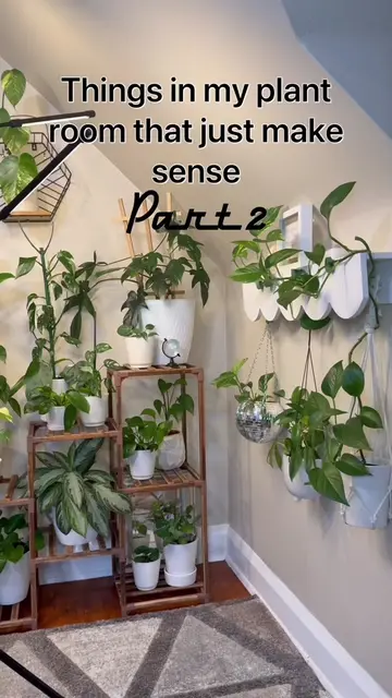 Little things that make plant life easier 🌿 part 2! What’s one thing your plant