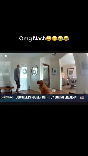 I laughed so hard😂😂… Nash just loves everybody & wanna share his toy 😩.. @nbc