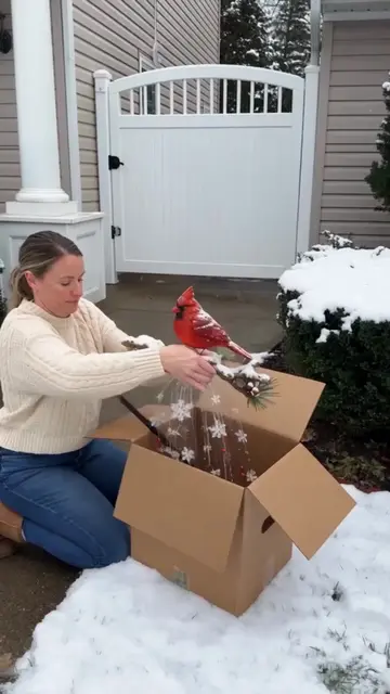 link in bio ❤️🐦 this lighted cardinal fountain adds such a warm little Christma