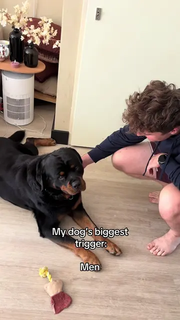 Idk why… #dogs #pets #funny #puppy 