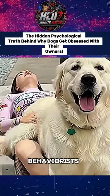 The dark side of pet obsession. 🐕🧠 What do you think about this intense behavi