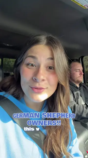German Shepherd owners, it’s our time! Walmart has German Shepherd Christmas blo