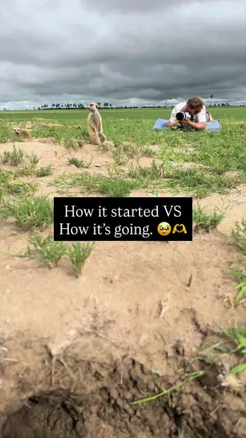 Are we family now? 🫶🥹 Follow Jack Swynnerton for more incredible content.  . .