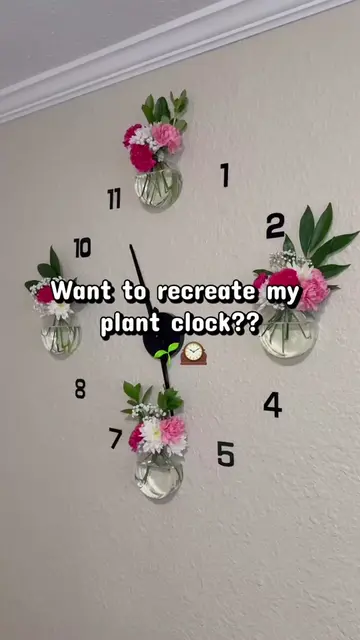 Globes linked below 🌿                    Wall clock is in my showcase! 🕰️     
