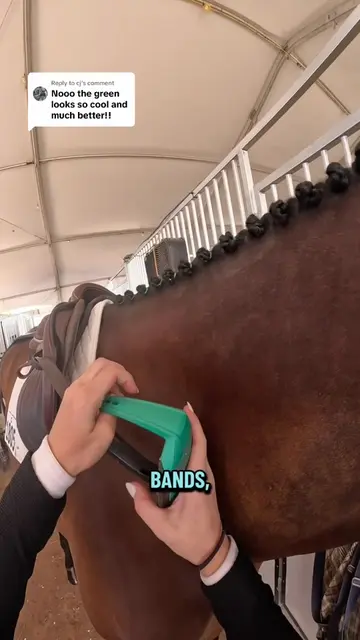 Replying to @cj noodle & I are going into the 1.20m with our GREEN stirrups 🫪🤯