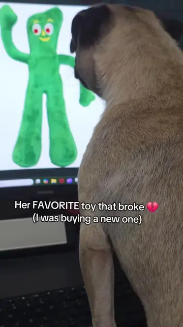 Words can't express how much she loves this Gumby toy. Its been one year since t