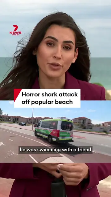 A swimmer has been mauled to death in a horror shark attack off Sorrento Beach i