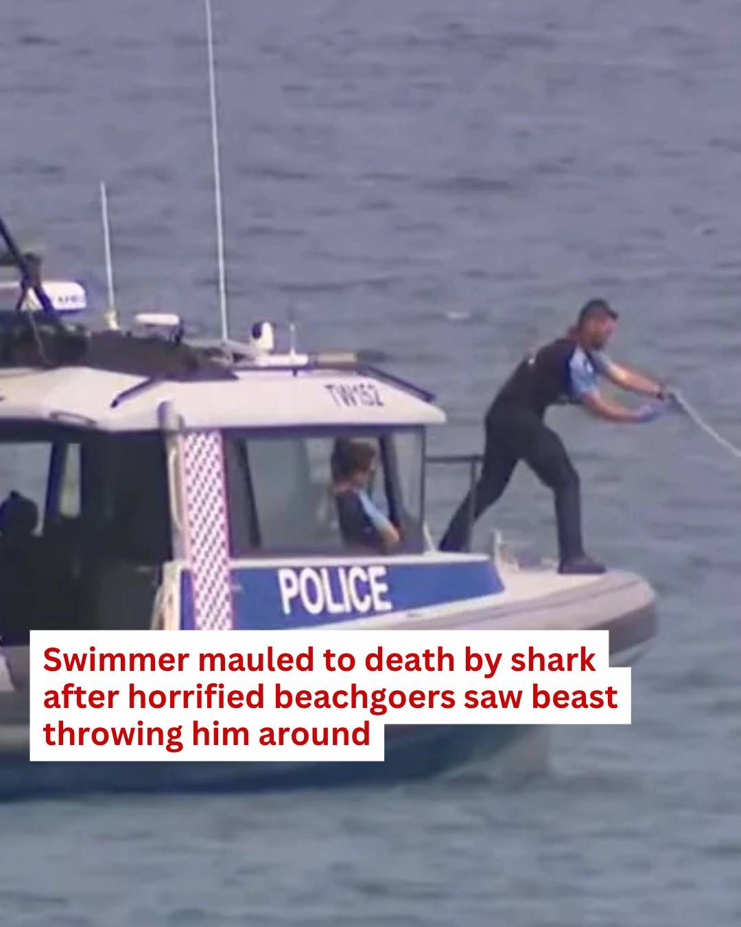 A man has been killed in a terrifying shark attack that unfolded in front of hor
