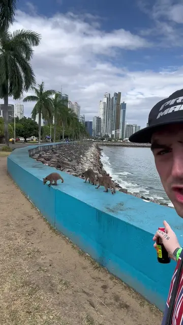 Strolling around Panama City in the morning is quite an experience 😅 I’ve never