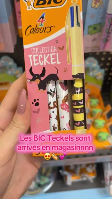 Les BIC Teckels sont arrivés en magasin 😍😍🌭💕 #teckeloftiktok #teckel #teckel