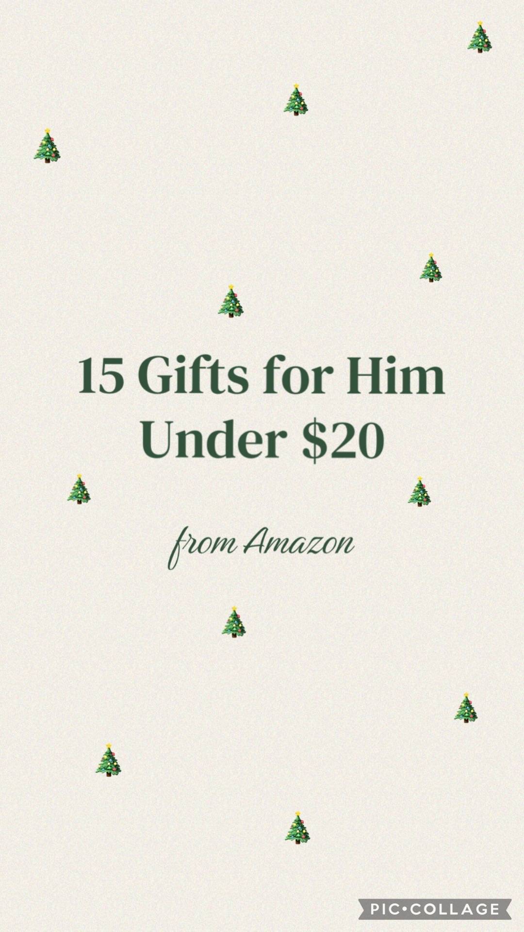 🔗 under “Gifts for him under $20” 🎄✨ #christmasgiftguide #christmasgiftsforhim