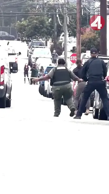 A mountain lion spotted in San Francisco's Outer Sunset Friday was caught on vid