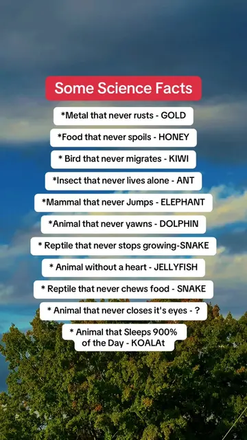 Some animals have survival traits that sound almost impossible 🐾🌍 Nature is fu