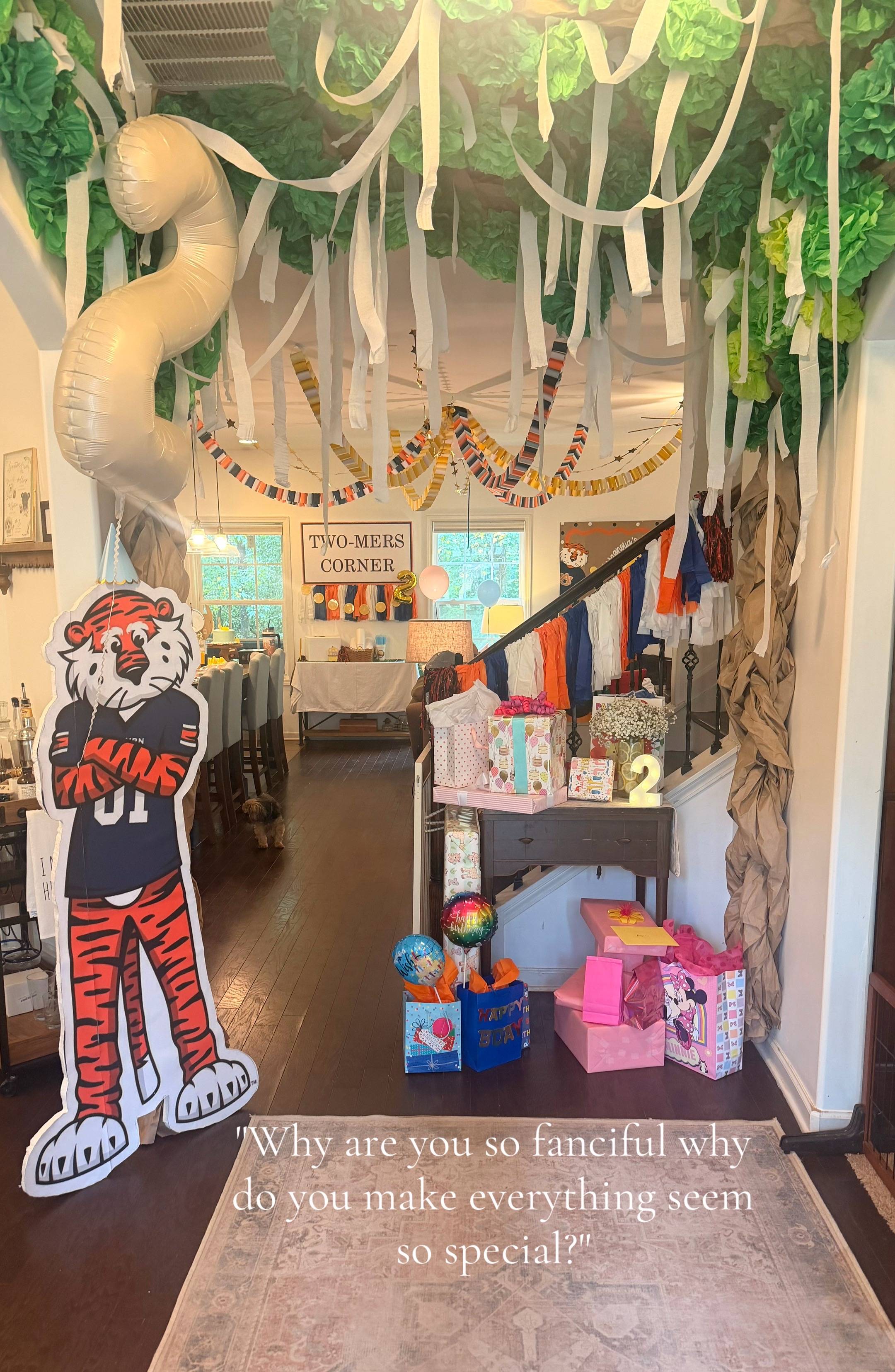 #twomerscornerbirthday #toomerscorner #aubiethetiger #happybirthdaу #2ndbirthday