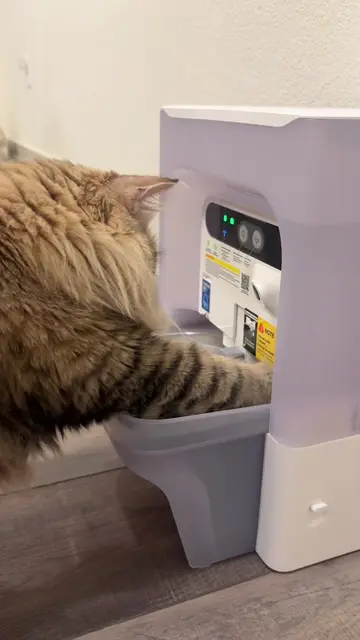 we’ve been testing out the eversweet ultra water fountain by @PETKIT, and this i