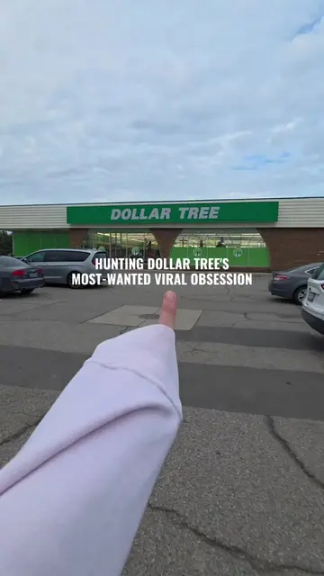 🫡 TODAY'S MISSION: Hunt & Secure Dollar Tree's MOST-WANTED, IMPOSSIBLE to find 
