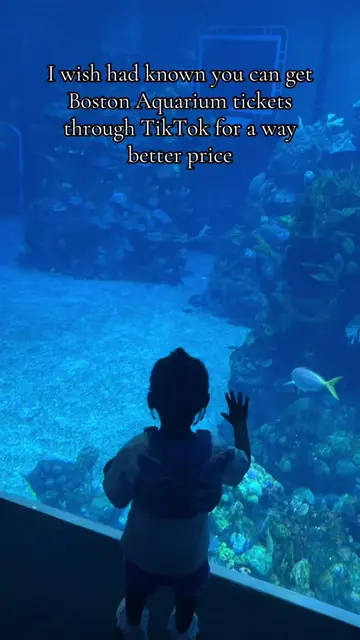 Hey! Did you know you can use the TikTok app to find discounted tickets to the a