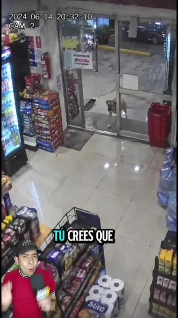 Entró a un minisúper buscando refugio y terminó encontrando un nuevo hogar 🐶❤️�