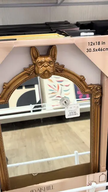 Presenting the new viral dog mirror available now at @HomeGoods #dog #mirror #vi