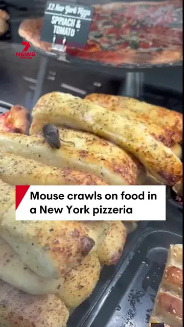 A mouse was spotted inside a pizzeria window in New York. A video from Gary Cadi