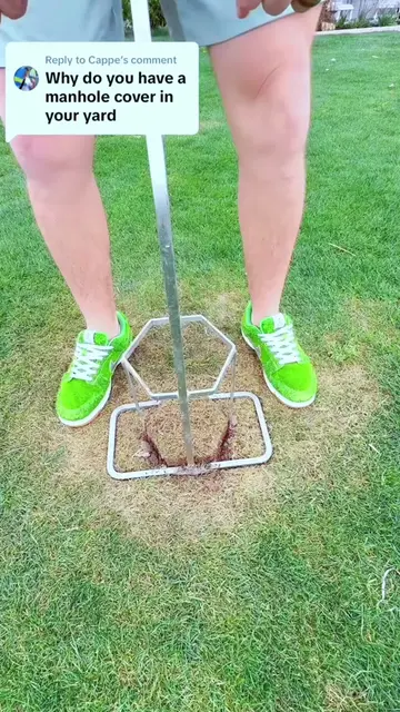 Must-Have Lawn Tools to Make Yard Work Super Easy✨#HomeGarden #LawnMaintenance#l
