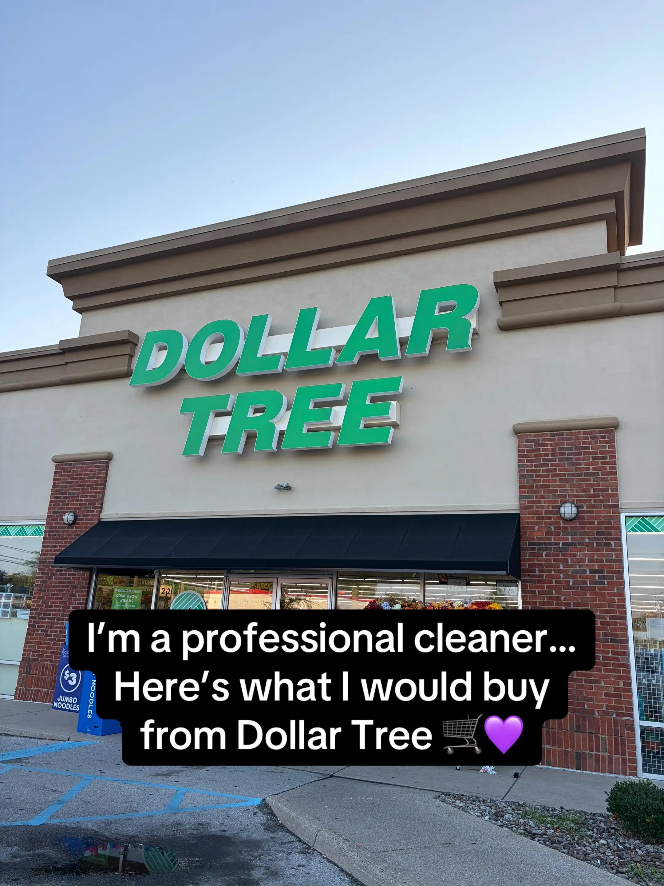 If I was on a budget and needed to make a cleaning caddy, these are the items I 