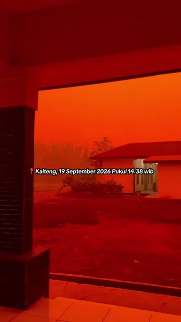 Pray for Kalimantan Tengah🥹 📽️ delefia #karhutla #kebakaranhutan #kalteng #kab