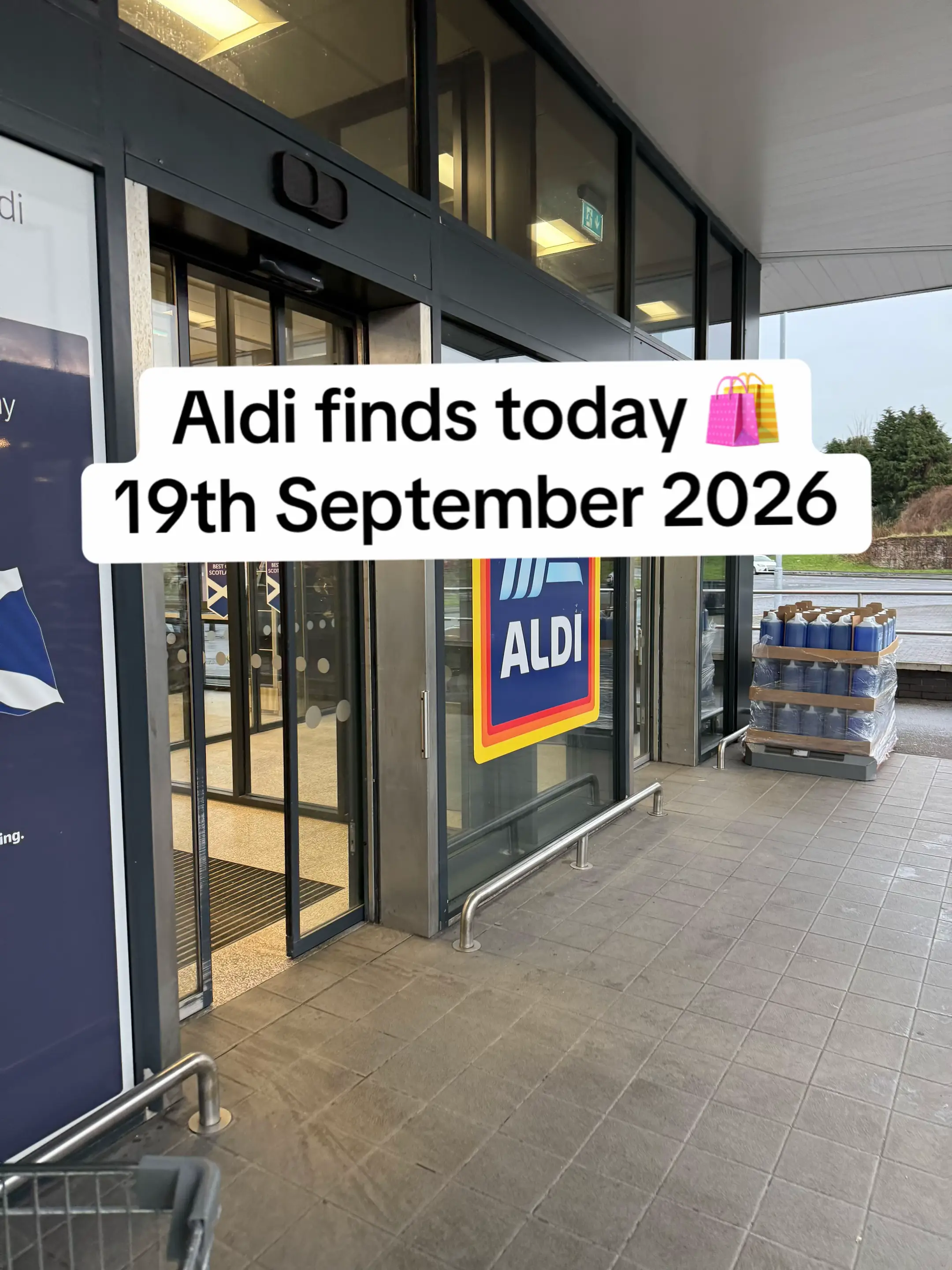 Workzone tools in the middle of Aldi  #aldifinds #shoppinghaul #dıy #decorating 