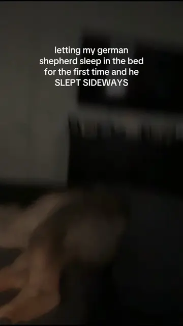 he’s never stayed the entire night in the bed and last night he just kept inchin