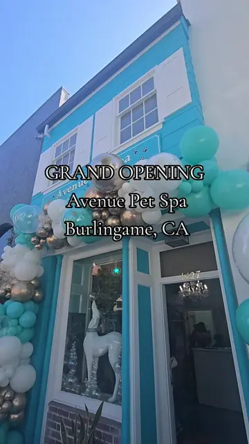 #avenuepetspa #burlingame #doggroomer #petspa #grandopening  GRAND OPENING TODAY