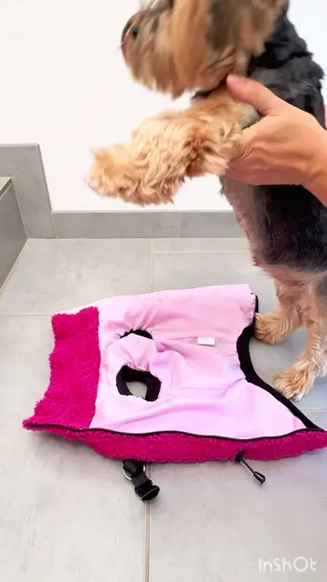 🇩🇪 🩷 Pink. Flauschig. Kuschelig. Die Teddyjacke für kleine Hunde 🐶✨ 🐾 Super