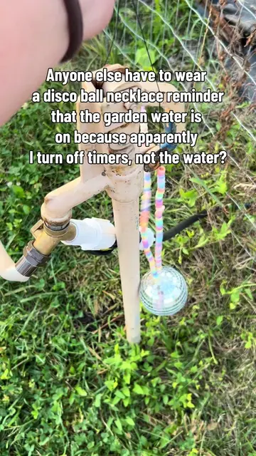 Yes, I know irrigation timers exist. I had one malfunction exactly once and appa