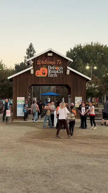 Fan favorite family friendly pumpkin farm. There’s so many activities. Free park