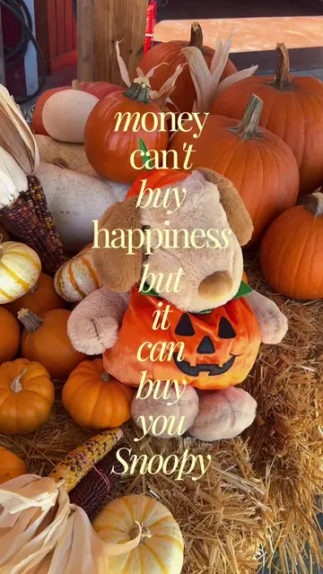 Money can buy you the brown snoopy from miniso 🤎 & that made me happy! 🤭 pumpk