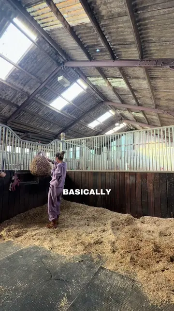 Come to the stables with me🤎 #horseowner #cometothestableswithme #muckingout #s
