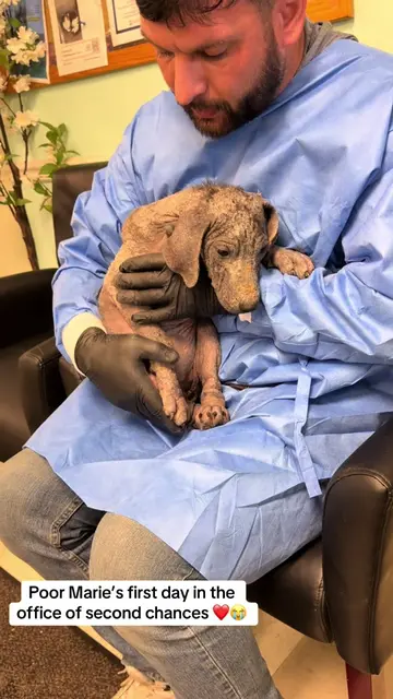 Sweet Marie had been through so much. Can you believe this girl is all ready 5 M