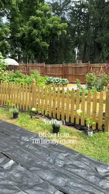 Can and I will. It was only a year ago that I decided to put the fence in and fr