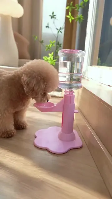Dog water dispenser 😍  #dogmom #doggy #catmom #SillyDog #DogDrinkingWater 