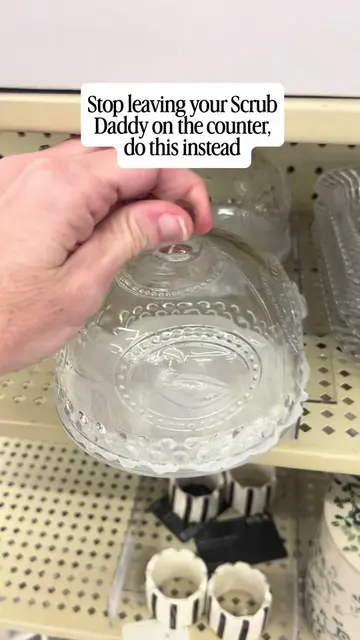 I saw someone use a thrifted crystal ashtray to hold her Scrub Daddy and I thoug