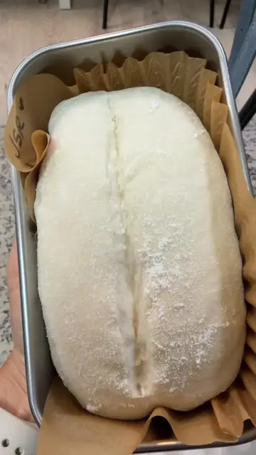 A fun Sunday activity in North County 🍞 San Diego  I took a sourdough workshop 