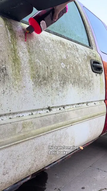 Truck door scrub before and after cleaning transformation will surprise you!  #c
