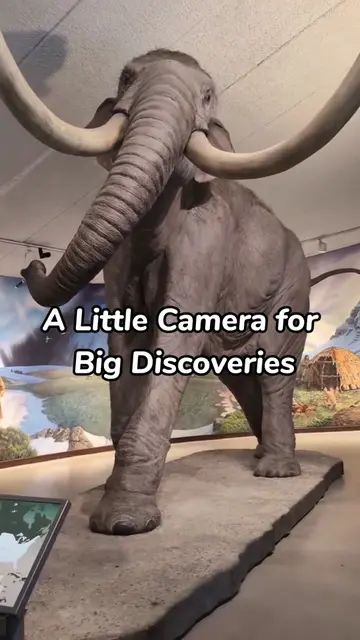 To fuel my kids' curiosity this season, we take the Dr. Look AI Camera on every 