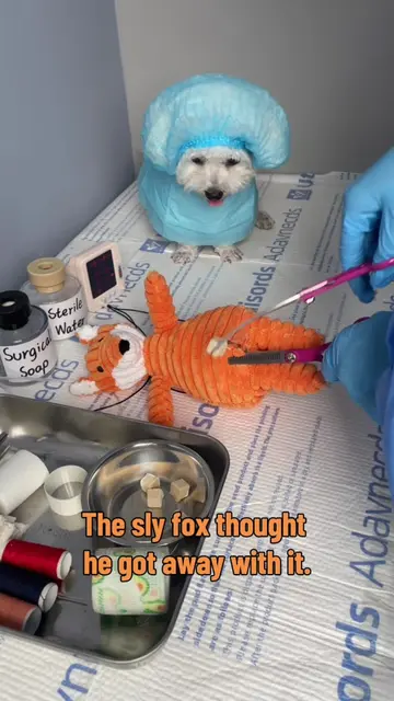 Mr. Fox stole way too much dog food thinking he wouldn't get caught, but ended u